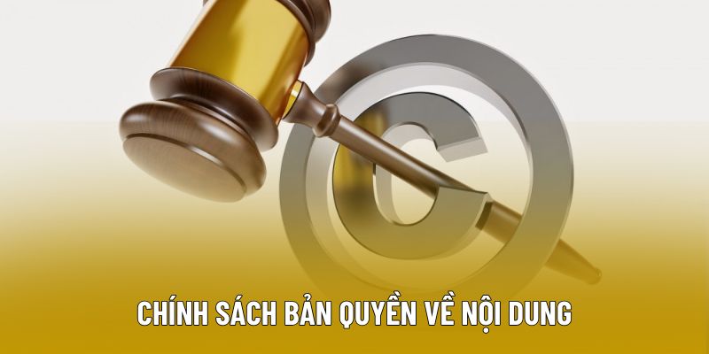 Chính sách bản quyền đối với người dùng