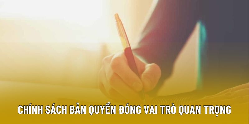 Chính sách bản quyền đóng vai trò quan trọng
