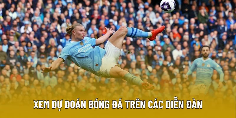 Xem dự đoán bóng đá trên các diễn đàn