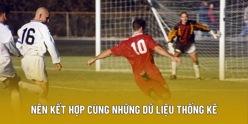 Nên kết hợp cùng những dữ liệu thống kê