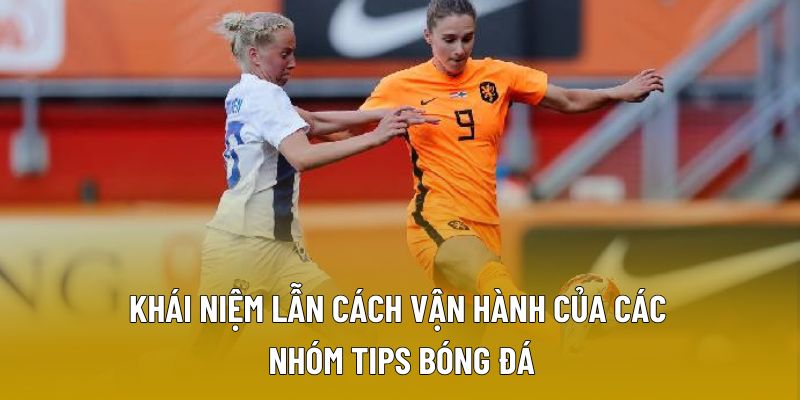 Khái niệm lẫn cách vận hành của các nhóm tips bóng đá