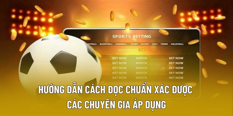 Hướng dẫn cách đọc chuẩn xác được các chuyên gia áp dụng